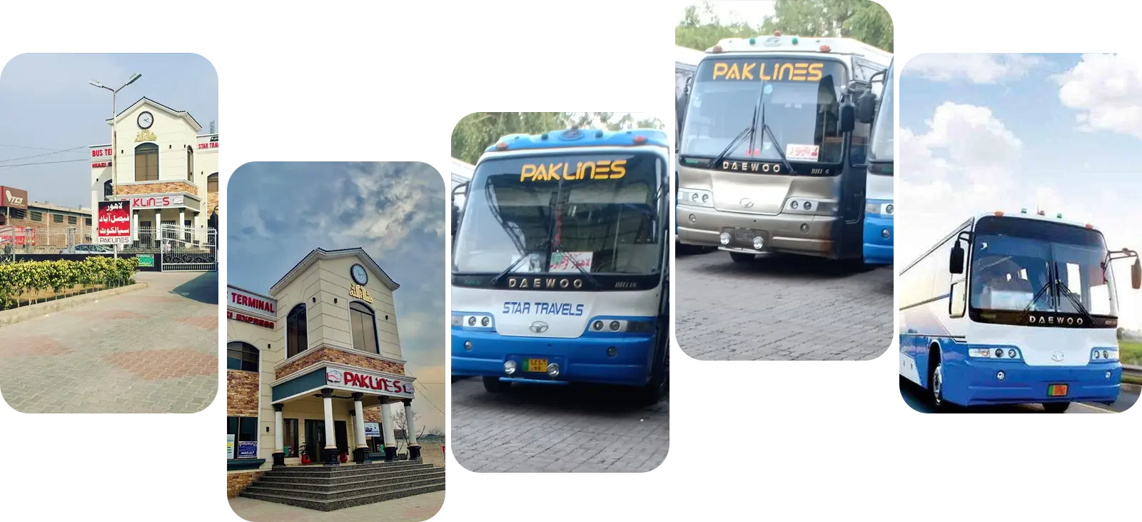 Paklines Transport Service